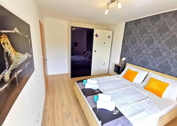 Cvita - Natali Рогозница